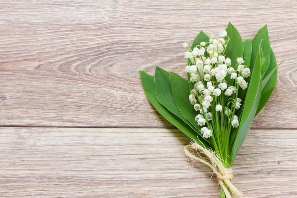 Bouquet de muguet sur la table