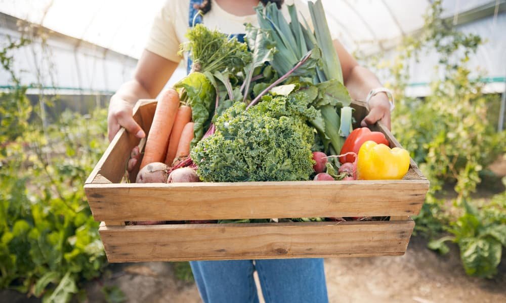 Mains de serre de femme avec boîte en bois de légumes