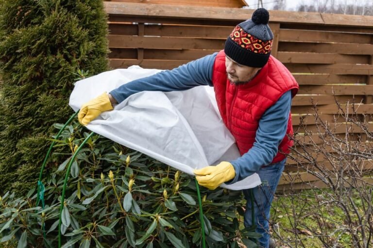 Protection hivernale pour le jardin abri hivernal