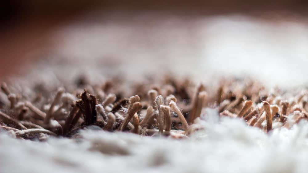 Capture macro du tapis à la maison