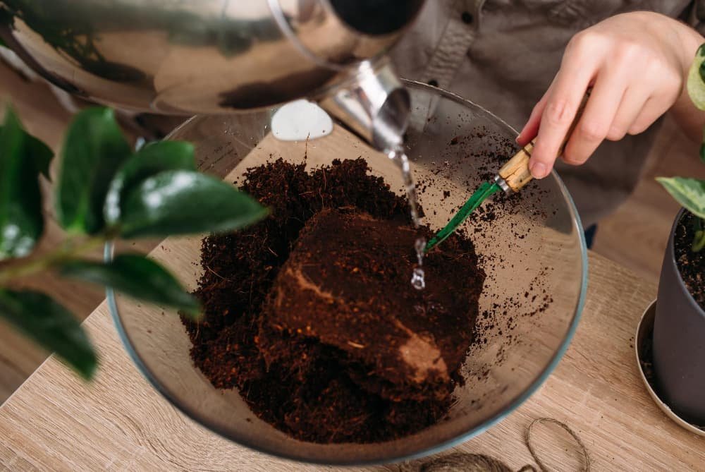 Femme utilisant marc de café