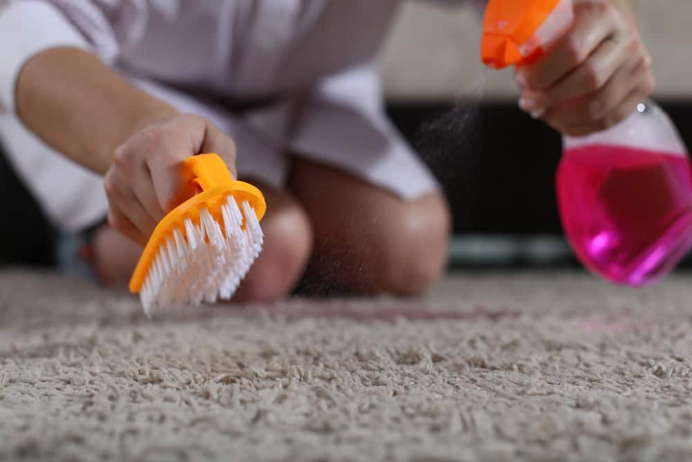 Une femme tient une brosse et un spray de nettoyage