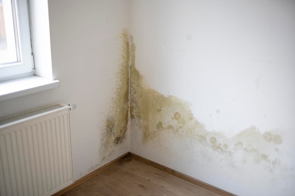 Humidité chambre