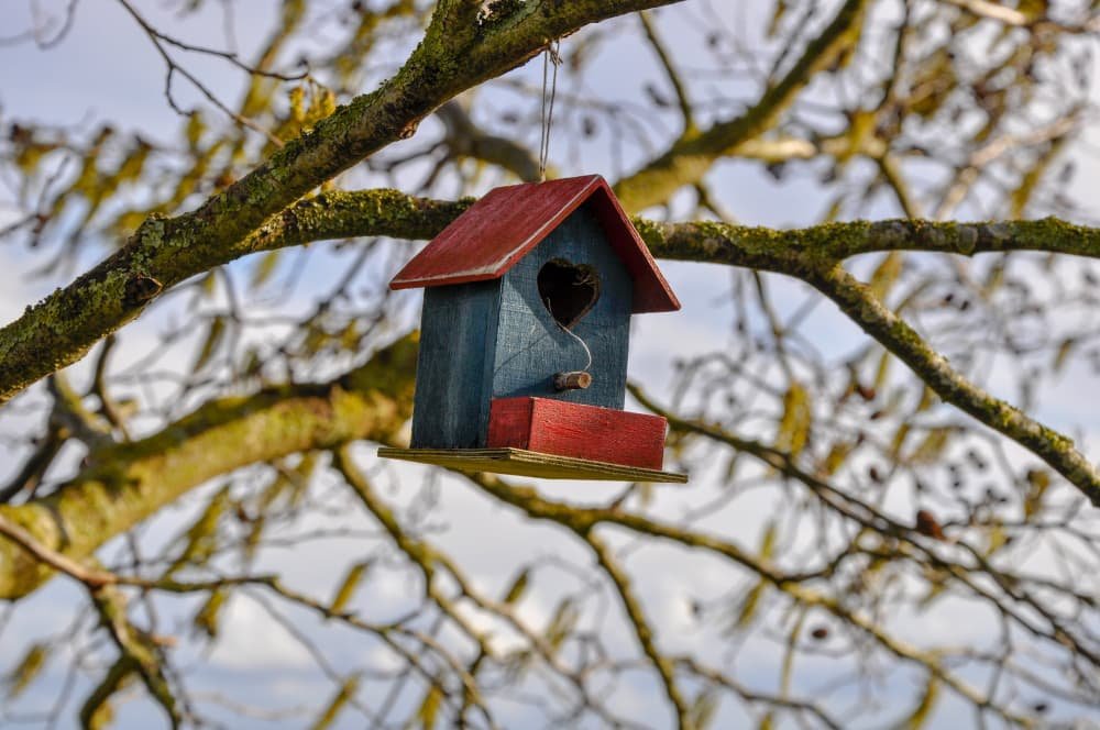 Gros plan jolie maison pour oiseau